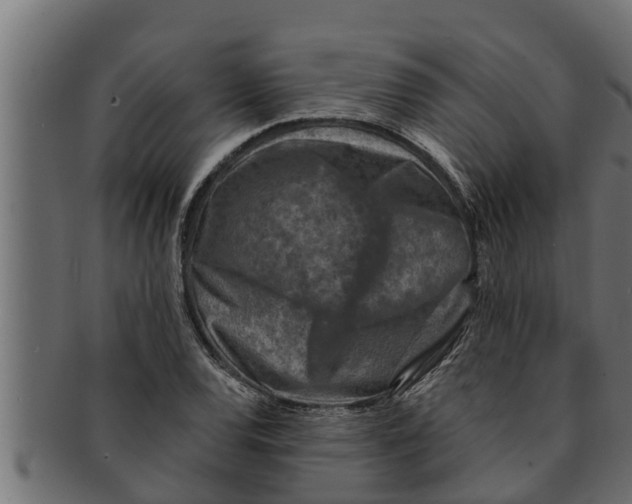 X0000091691120200709201253