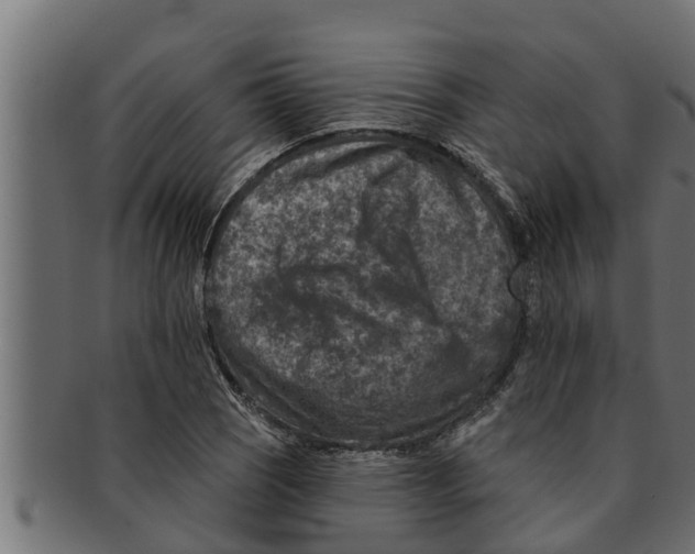 X0000091691121200709201253