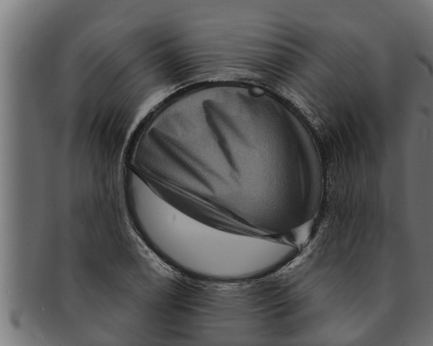 X0000091691122200709201253