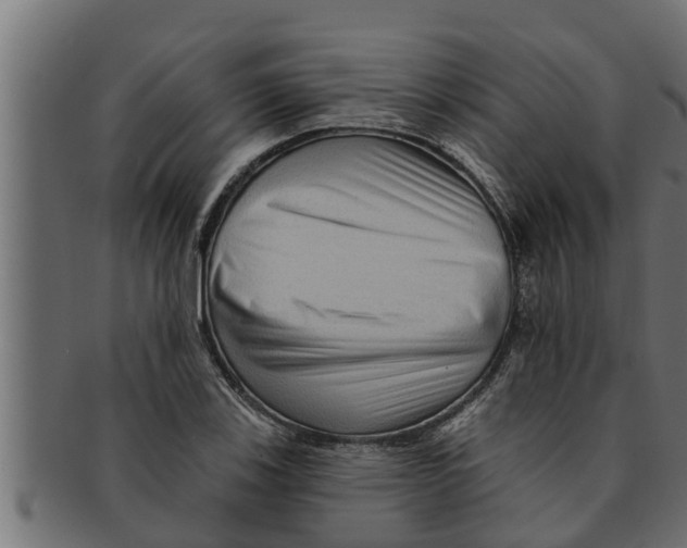 X0000091691123200709201253