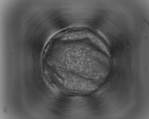 X0000091691124200709201253