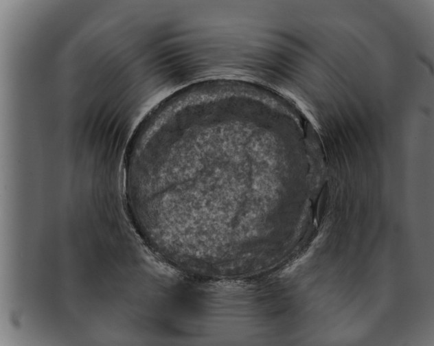 X0000091691125200709201253