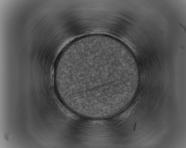 X0000091691126200709201253