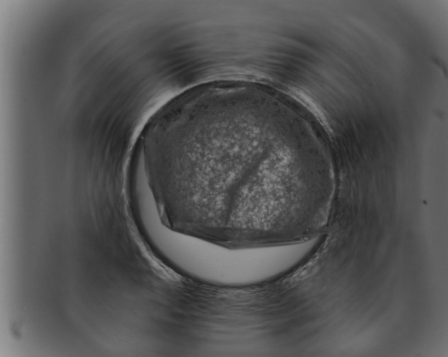 X0000091691128200709201253