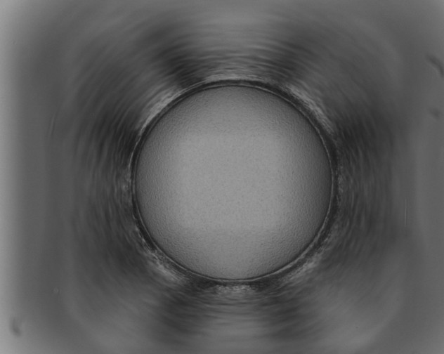 X0000091691129200709201253