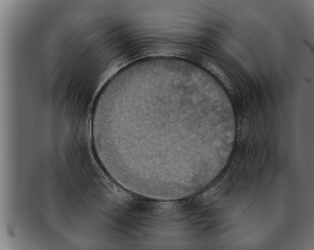 X0000091691130200709201253