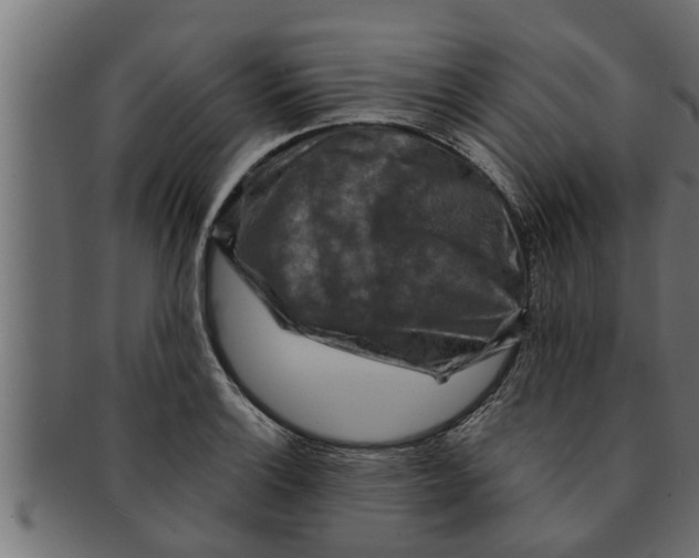 X0000091691132200709201253