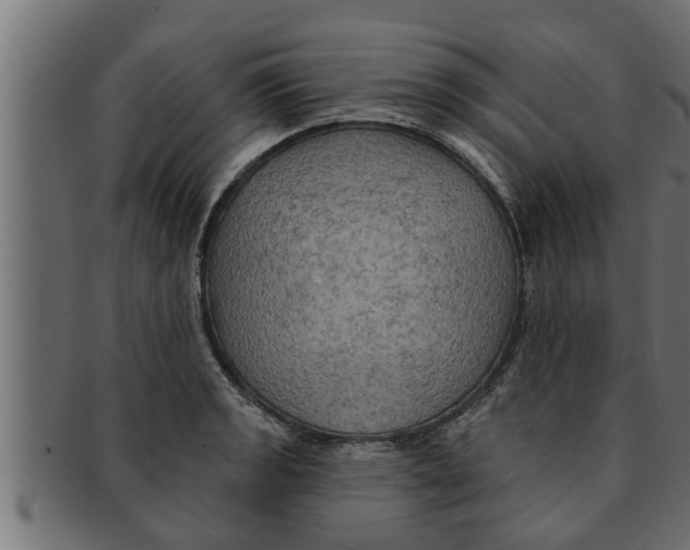 X0000091691133200709201253