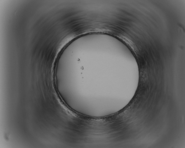 X0000091691135200709201253