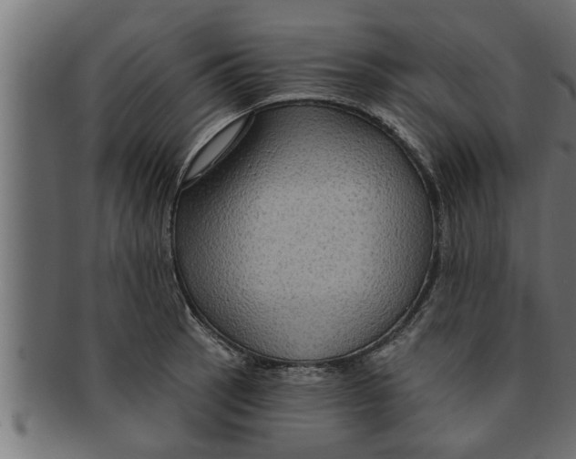 X0000091691137200709201253