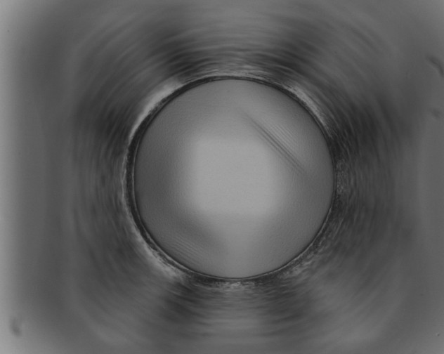 X0000091691139200709201253