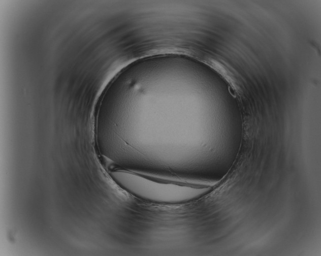 X0000091691140200709201253