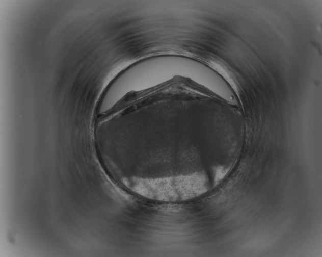 X0000091691141200709201253