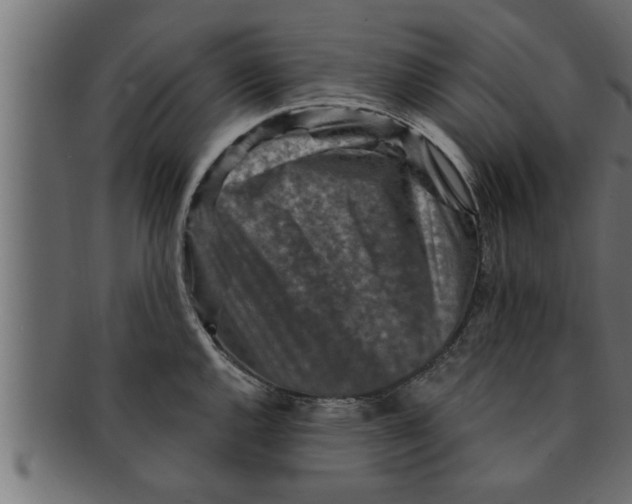 X0000091691144200709201253