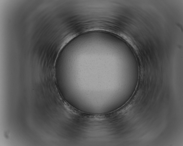 X0000091691145200709201253