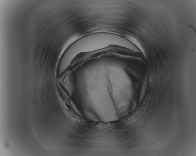 X0000091691146200709201253