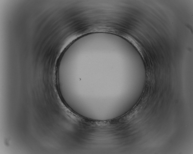 X0000091691147200709201253