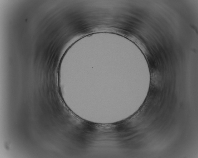 X0000091691150200709201253