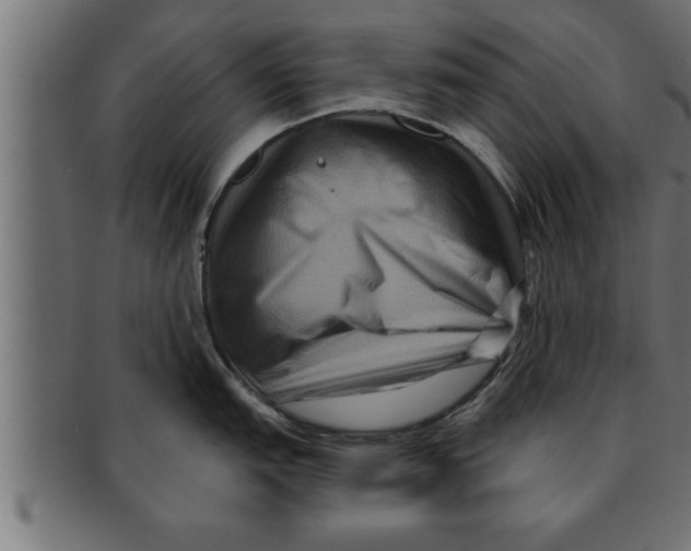 X0000091691151200709201253