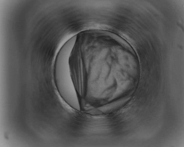 X0000091691152200709201253