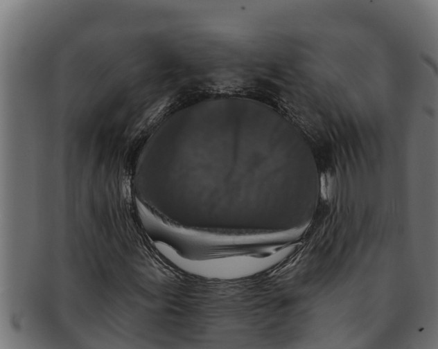 X0000091691155200709201253