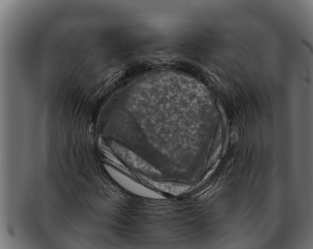 X0000091691156200709201253