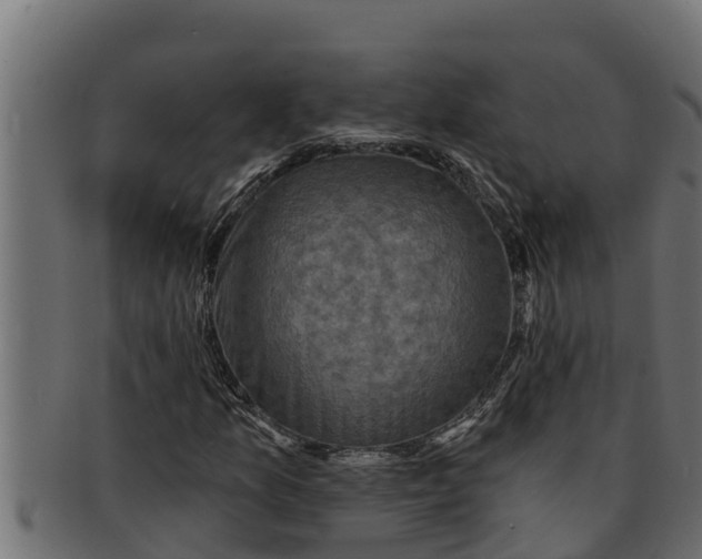 X0000091691157200709201253