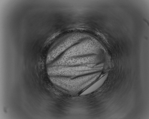 X0000091691159200709201253