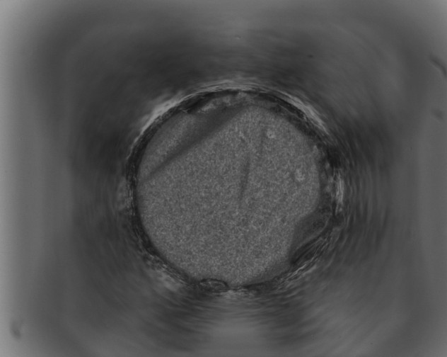 X0000091691160200709201253