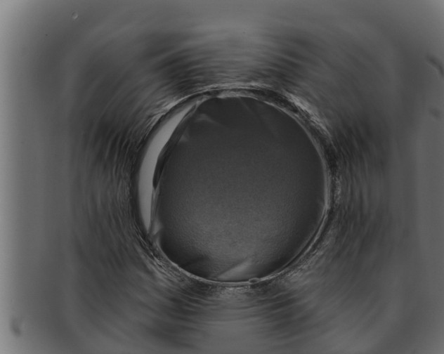 X0000091691161200709201253