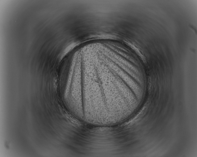 X0000091691163200709201253