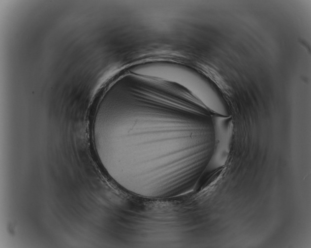 X0000091691164200709201253