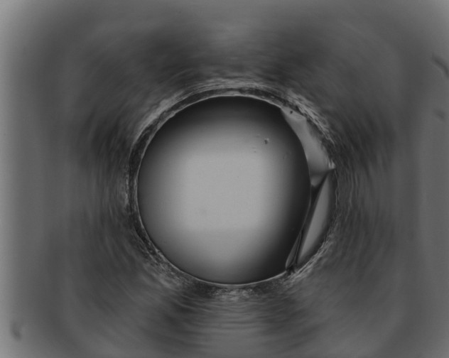 X0000091691165200709201253