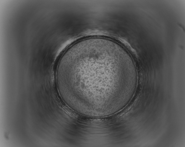 X0000091691167200709201253