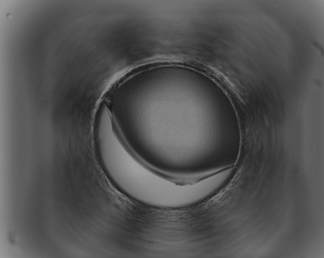 X0000091691168200709201253