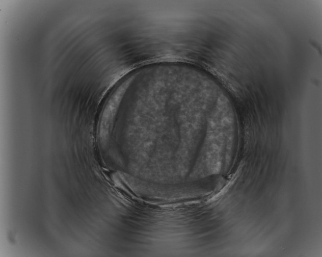 X0000091691170200709201253