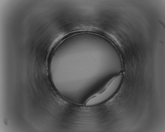 X0000091691172200709201253