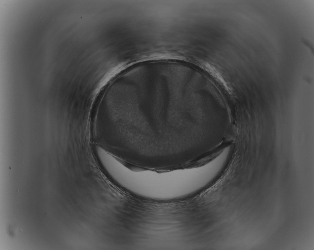 X0000091691173200709201253