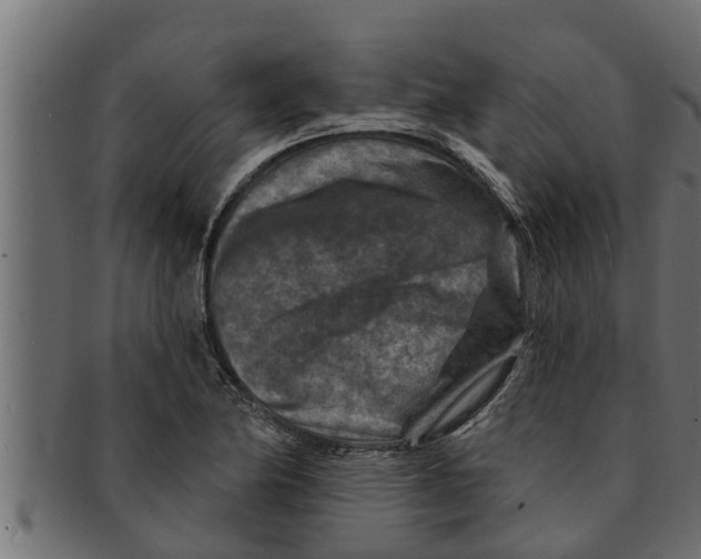 X0000091691174200709201253