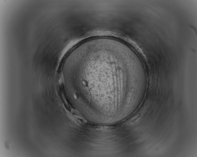 X0000091691175200709201253