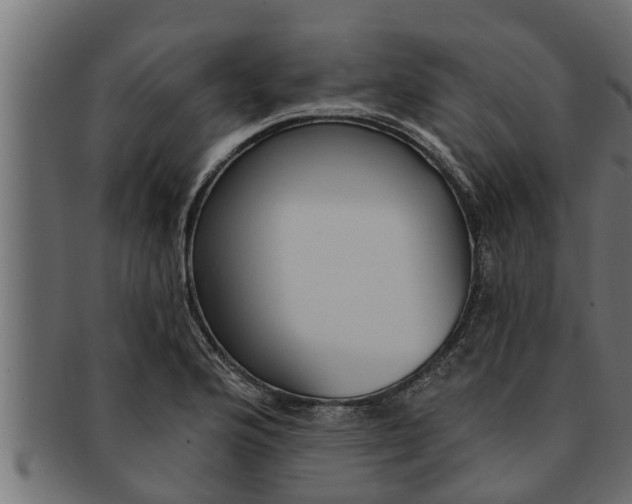 X0000091691176200709201253