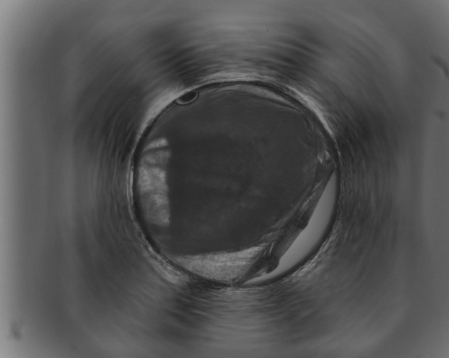 X0000091691179200709201253