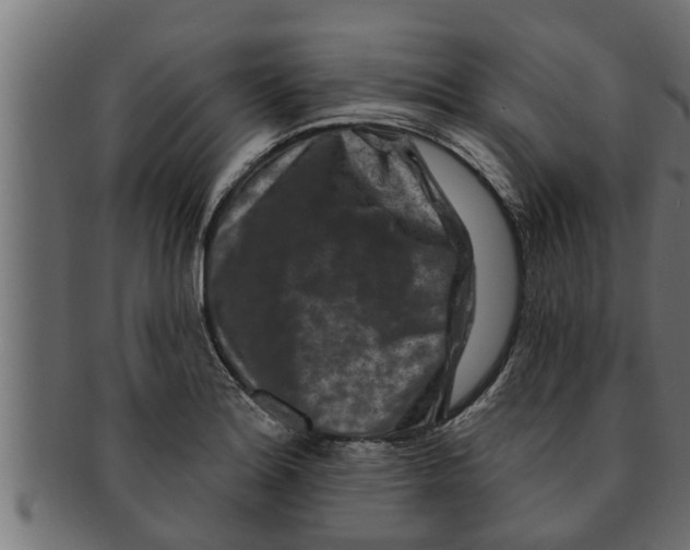 X0000091691180200709201253