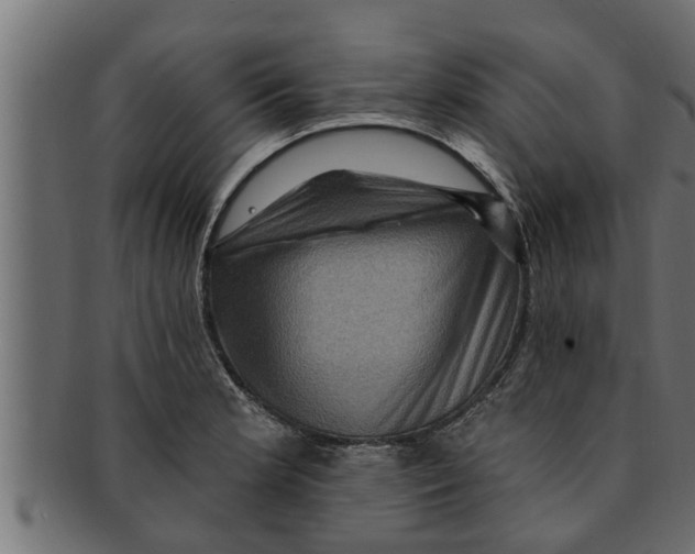 X0000091691181200709201253