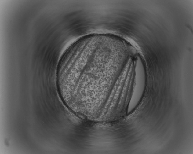 X0000091691183200709201253