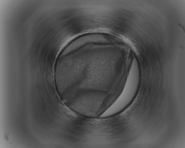 X0000091691184200709201253