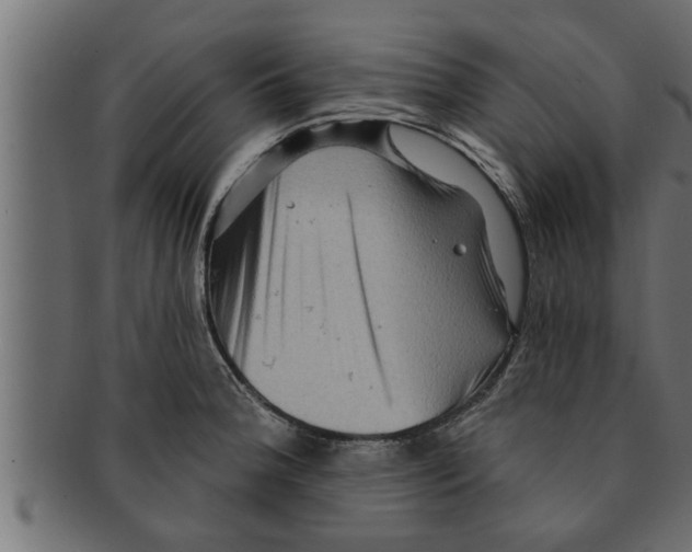 X0000091691188200709201252