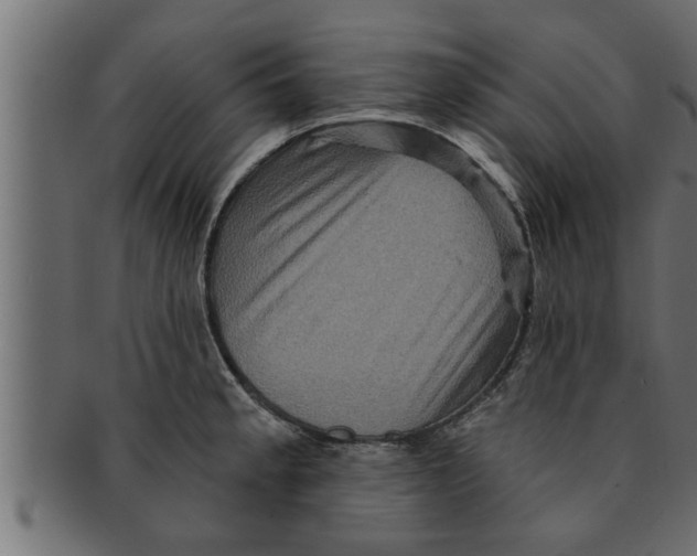 X0000091691189200709201252