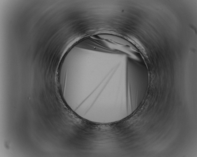 X0000091691190200709201252