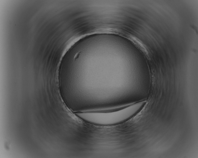 X0000091691192200709201252